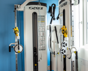 /Cybex/